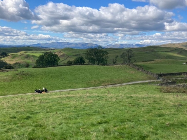 Soil sampling Kentdale, Lake District