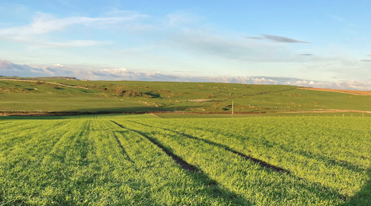 GPS Testing in Dumfries and Galloway