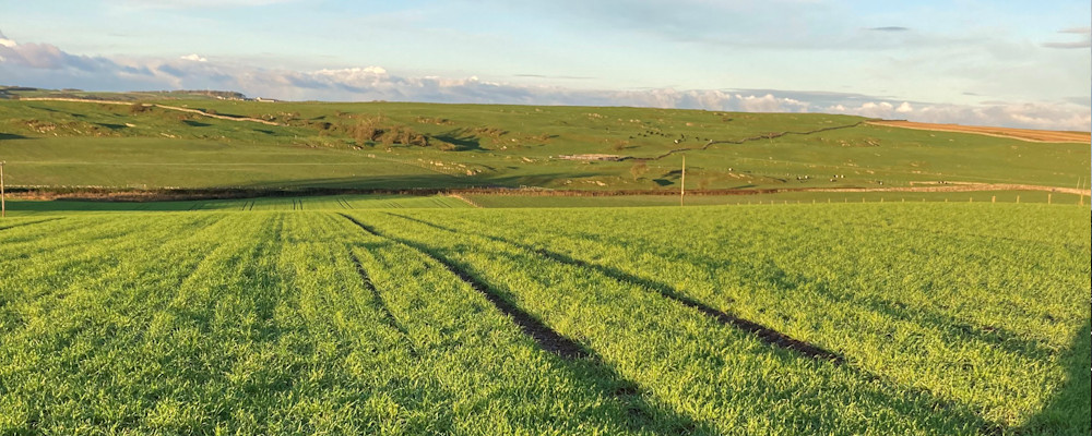 GPS Testing in Dumfries and Galloway