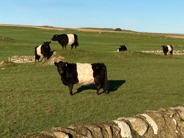 GPS Testing in Dumfries and Galloway