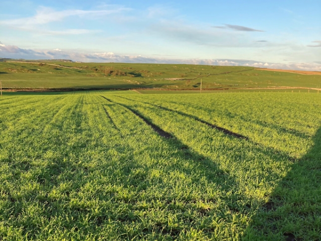 GPS Testing in Dumfries and Galloway