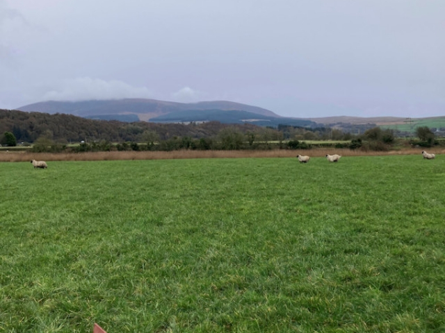 GPS Testing in Dumfries and Galloway