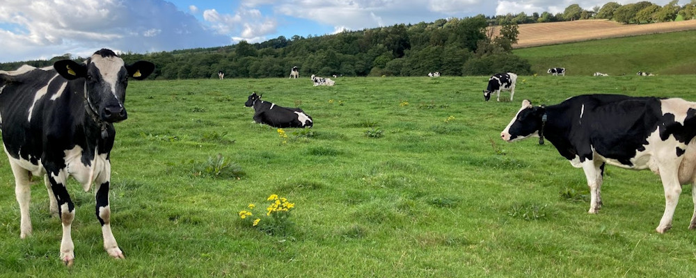 Nutrient Management and Fertiliser by Eco Prospects