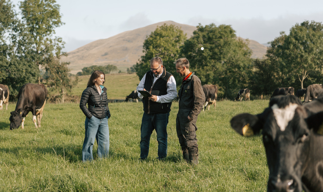 Eco Prospects team at work, discussing pastureland soil, with farm client in Cumbria