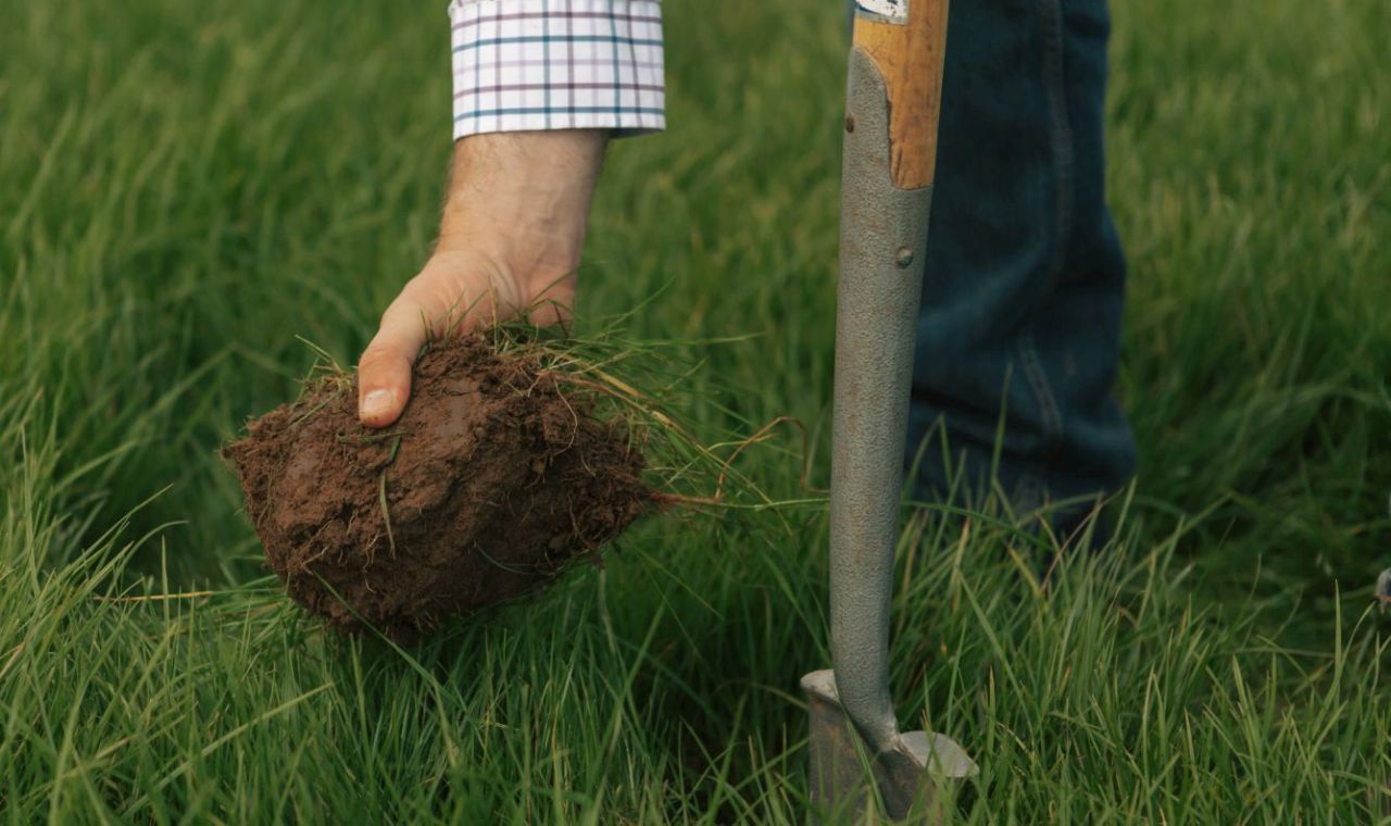 Checking the soil texture as part of a whole farm nutrient balance plan project