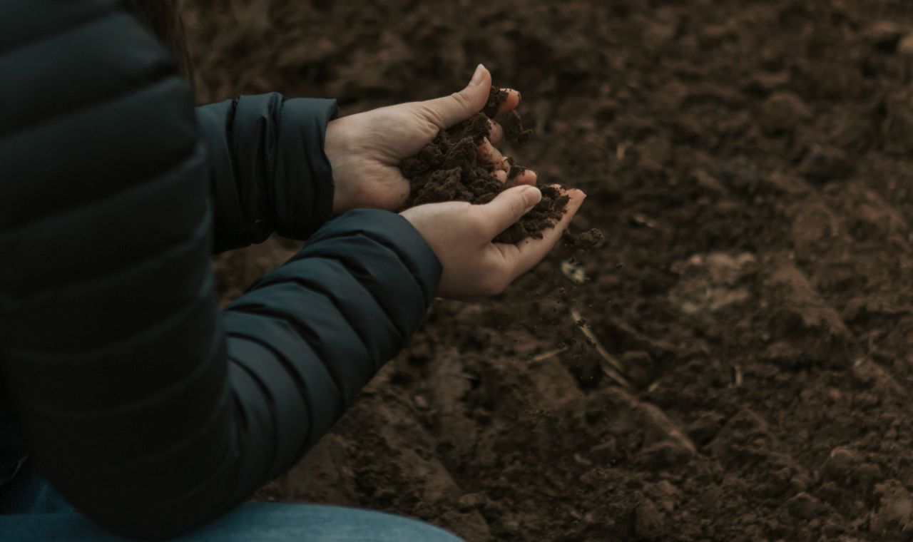 Assessing soil health on a cultivated field in Cumbria's Eden Valley
