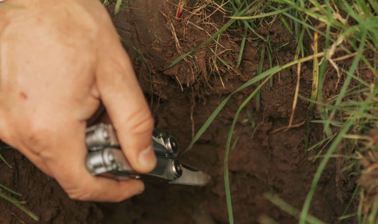 Assessing a Cumbrian soil for texture and compaction in a soil pit using a pocket knife.