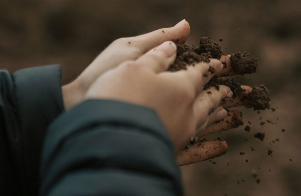 Sustainable, well tended soil being checked by hand for texture and type